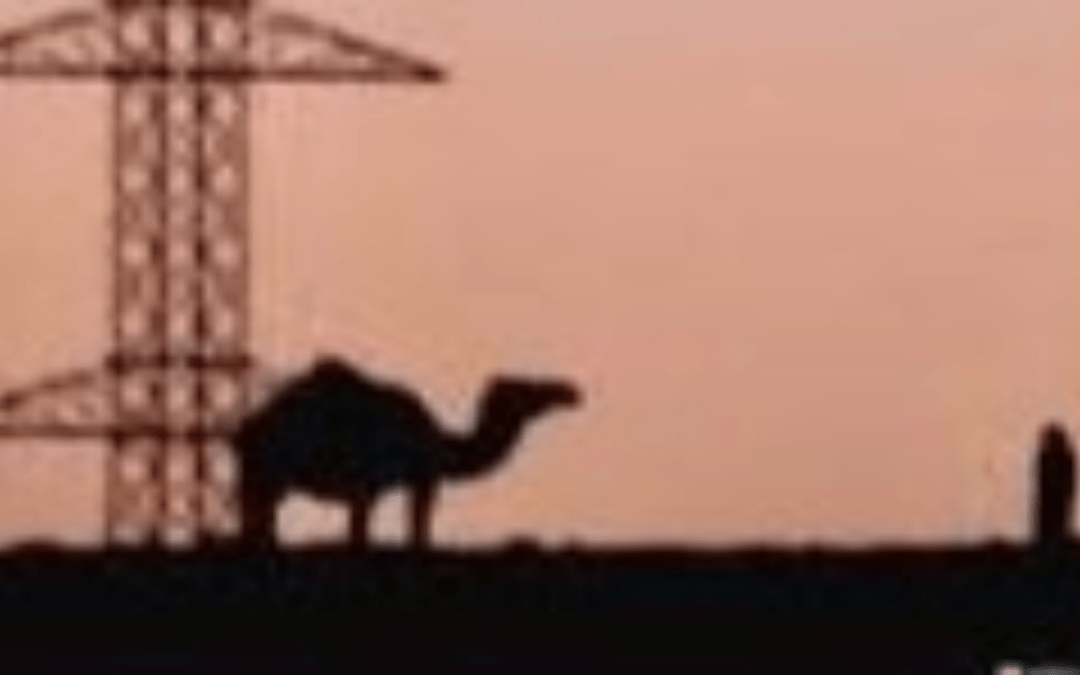Au nord du Sud : Espace, valeurs et passion au Sahara atlantique (C. C. Mitatre)