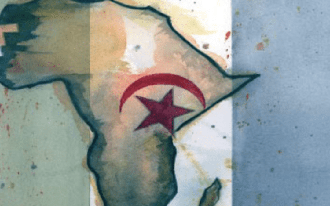 The Western Sahara : Selected primary legal sources. 15 basic statements on the conflict (C. R. Miguel, Y. Blanco Souto, M. Ponce de Leon Iglesias)