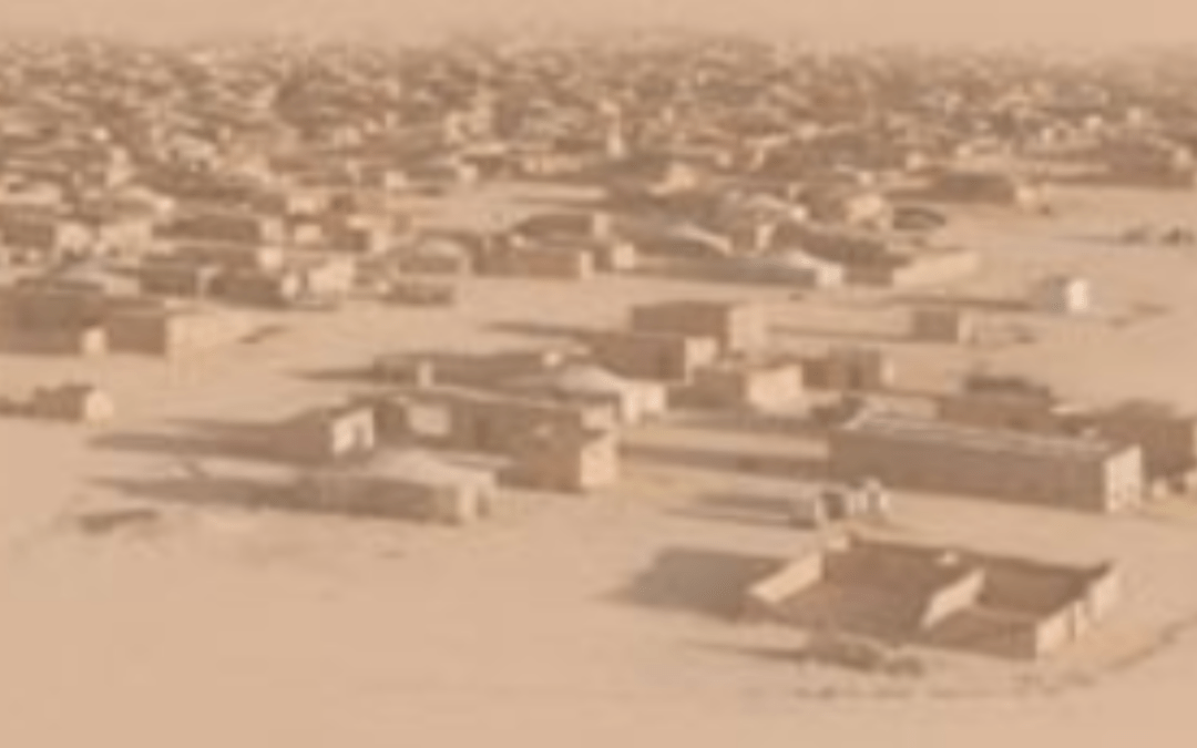 Sahara Occidental, 40 años después (I. Barreñada, R. Ojeda García, M. Guindo et al.)