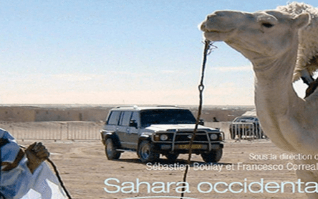 Sahara Occidental. Conflit oublié, populations en mouvement (S. Boulay et F. Correale)