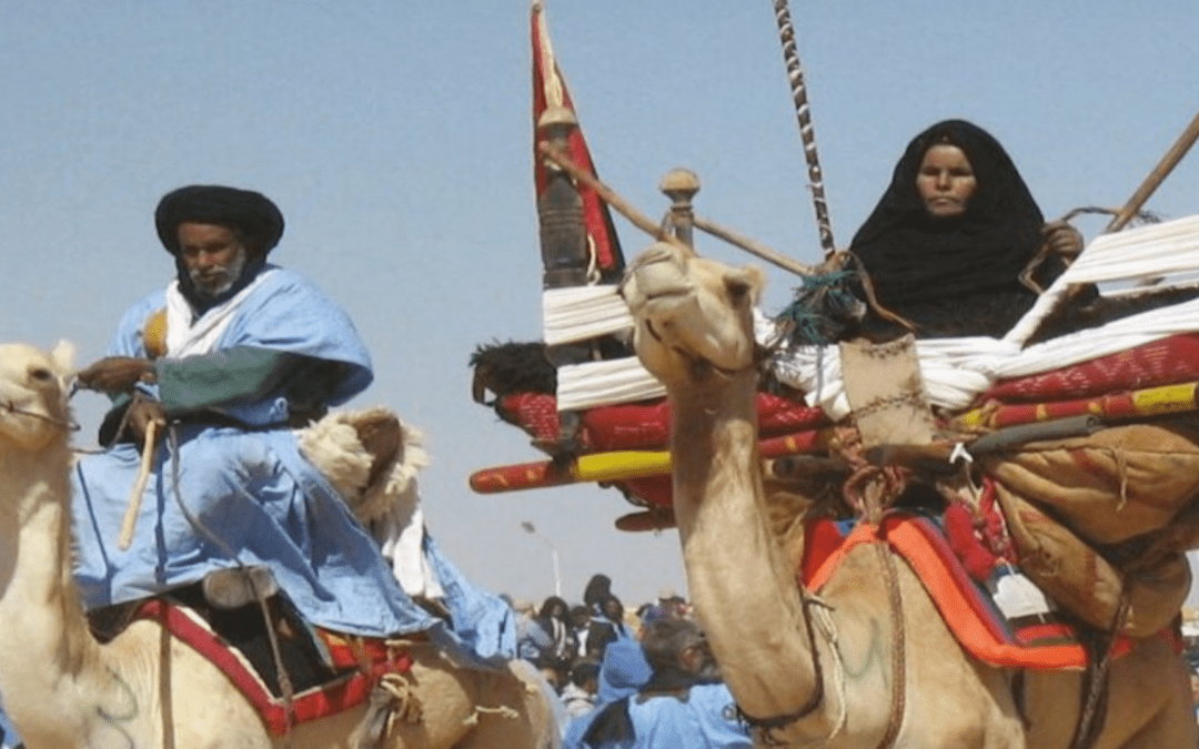 Nomads and nation-building in the Western Sahara : gender, politics and the Sahrawi (K. Isidoros)