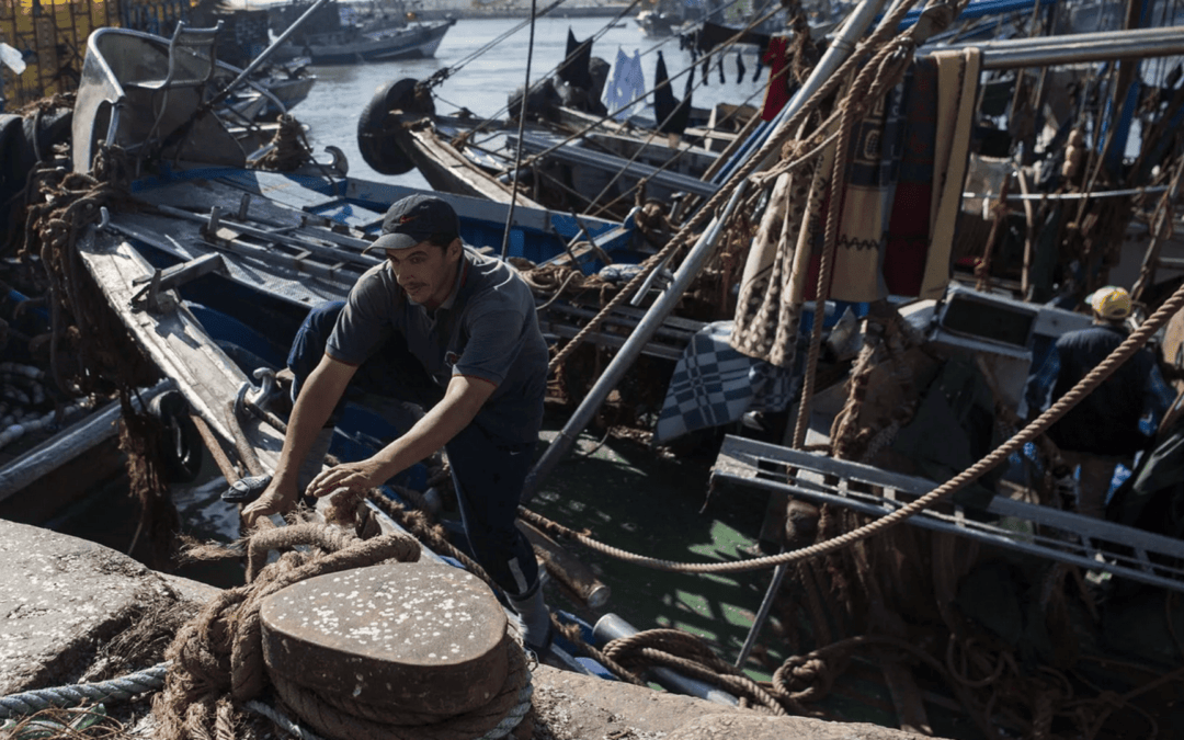“Pêche. La justice européenne à contre-courant sur le Sahara occidental” – Orient XXI (04 octobre 2021)
