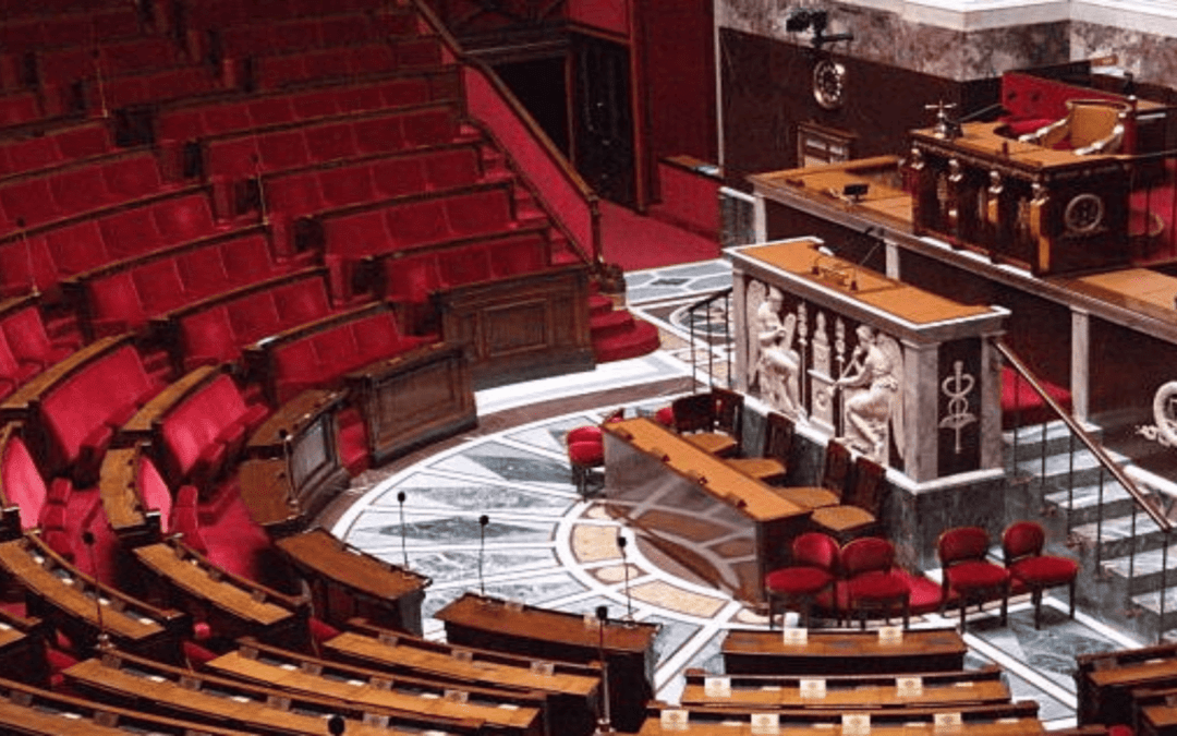 Debate en la Asamblea Nacional de Francia (6 de enero 2022)