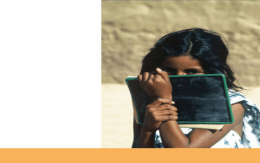 Études de linguistique ouest-saharienne (C. Taine-Cheikh)