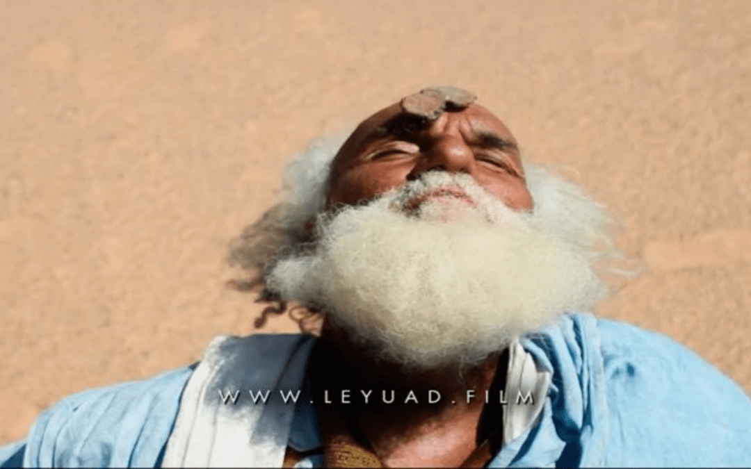 Screening-debate “Leyudad, un viaje al pozo de los versos” – INALCO (12th March 2018)