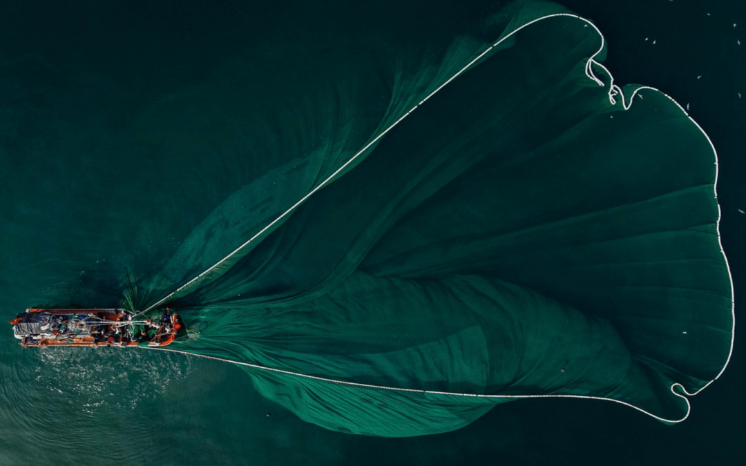 The management of fishing resources in Western Sahara (2021-2023)